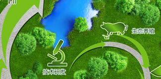 雛鷹集團(tuán)侯建芳簡(jiǎn)歷，侯閣亭、李花、侯五群、吳易得、丁美蘭等領(lǐng)導(dǎo)班子