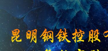 昆鋼集團(tuán)王素琳簡歷，馬德、陳清泉、王存璘、蘇玲翠、王云萍、錢永祥、孫小躍、官德海、高冰、杜陸軍、趙永平領(lǐng)導(dǎo)班子